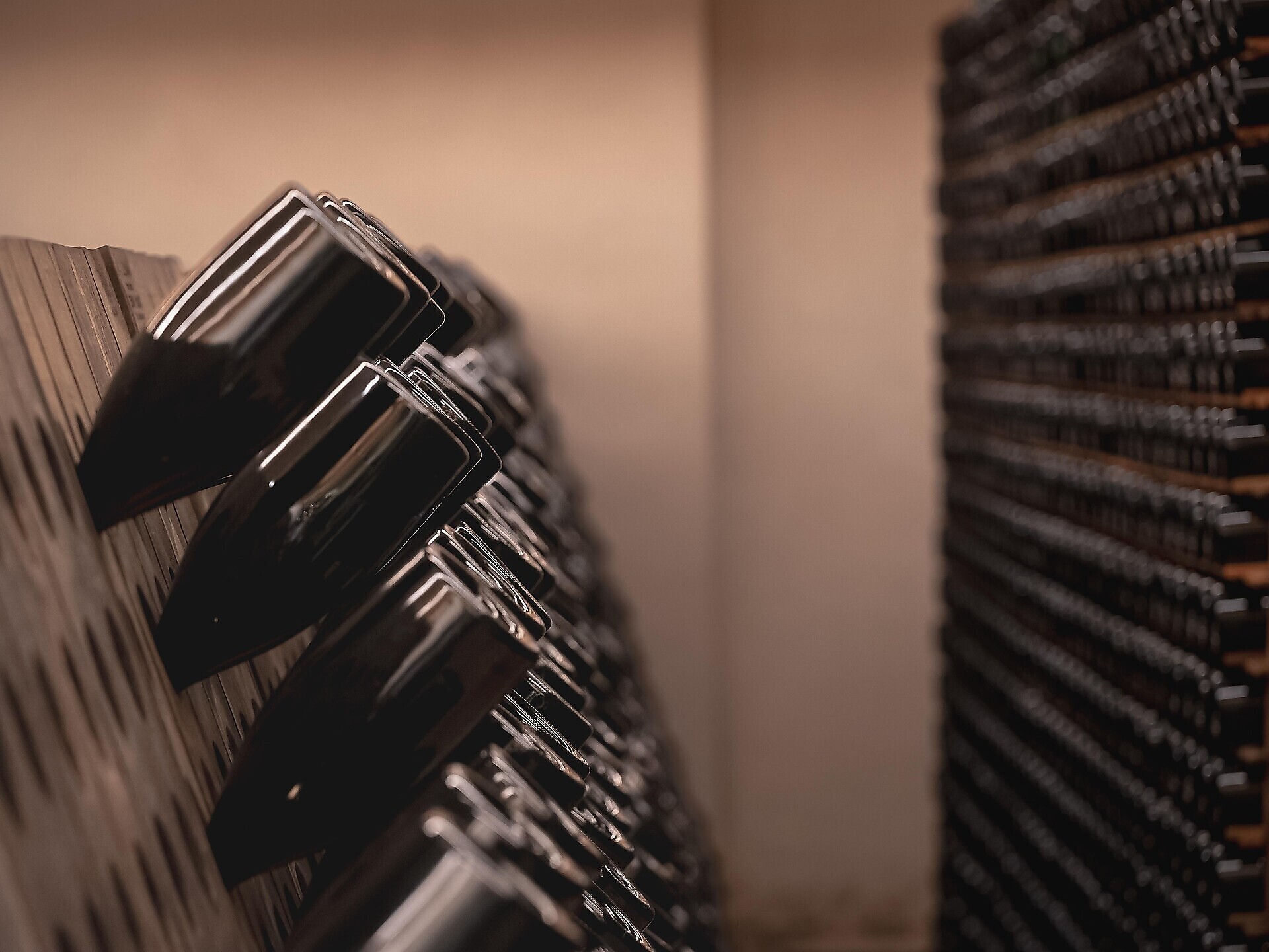 Wein- und Sektverkostung Weingut Seeperle und Sektgut Montris FR - Südtiroler Weinstraße - #1 - suedtirol.info