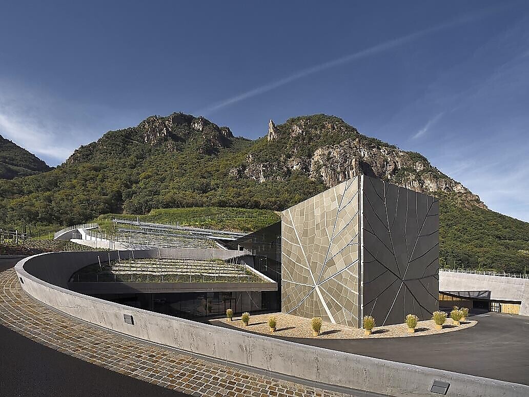 Winery Tour with Wine Tasting - Bolzano/Bozen and environs - #1 - suedtirol.info