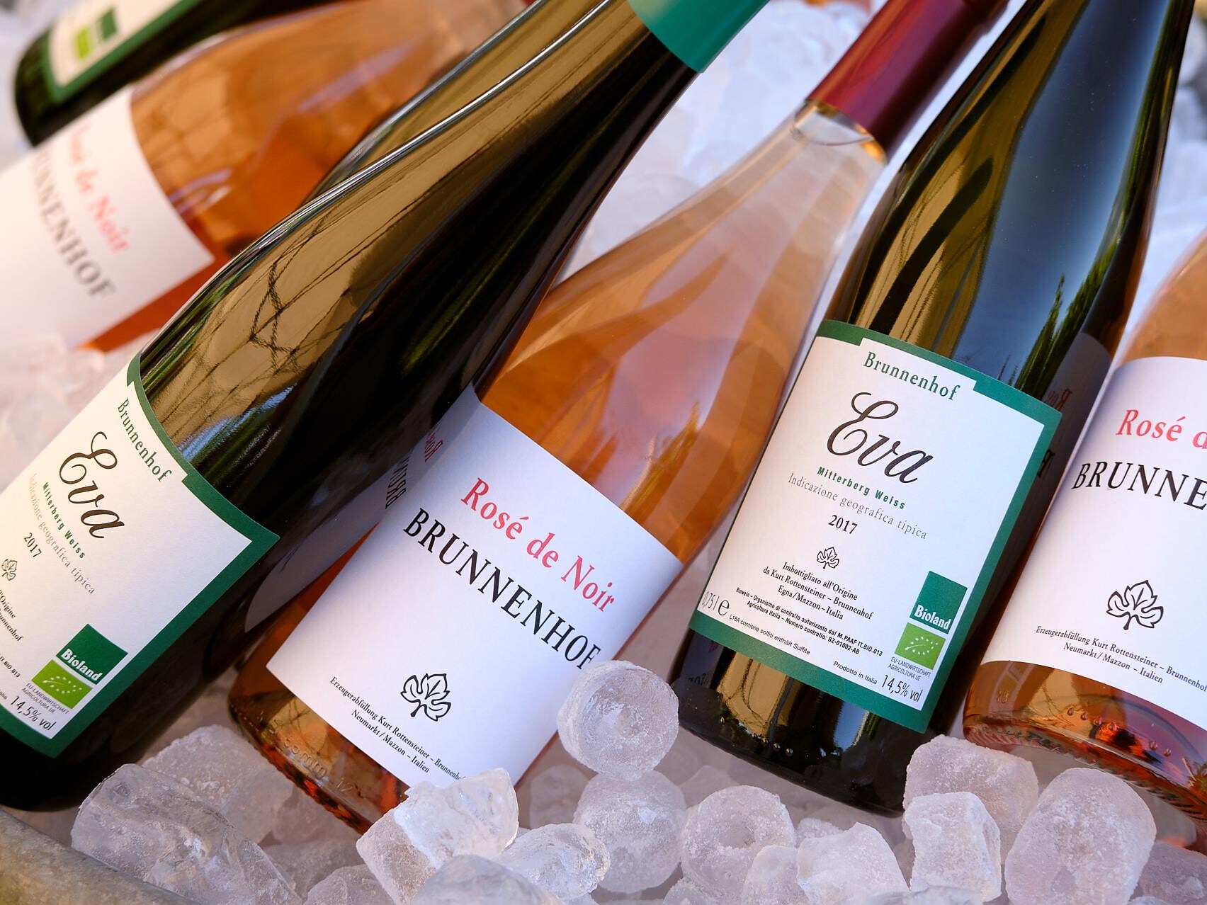 Vineyards, guided cellar tour, wine tasting Neumarkt/Egna 1 suedtirol.info