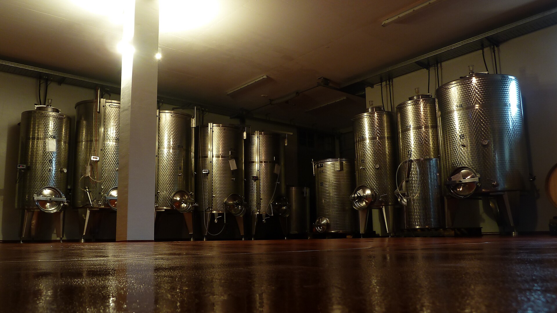 Weinkellerführung im Bio-Weingut Gruberhof - Meran und Umgebung - #4 - suedtirol.info