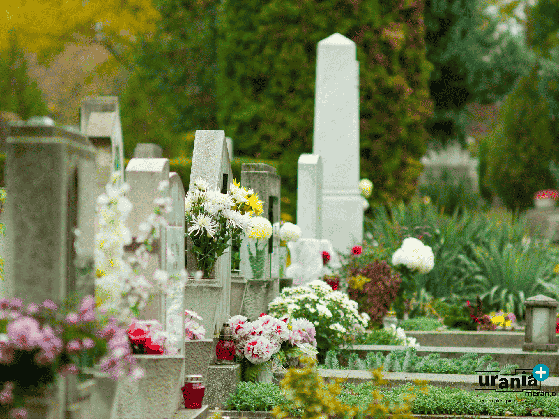 Se le pietre parlano: il cimitero di Maiabassa a Merano - Merano e dintorni - #1 - suedtirol.info