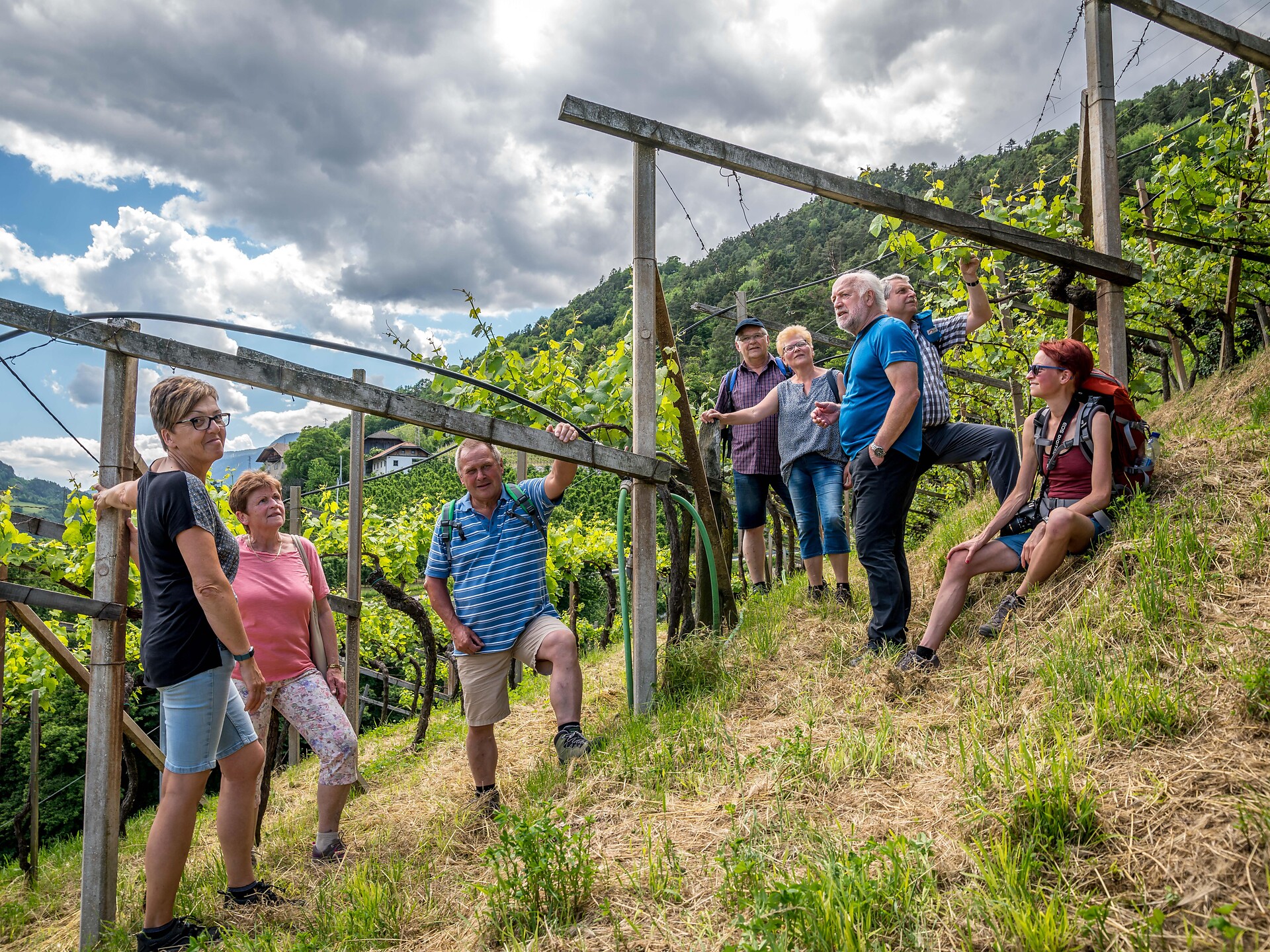 Walk & Wine - Escursione guidata e degustazione vini in tedesco - Bressanone e dintorni - #1 - suedtirol.info