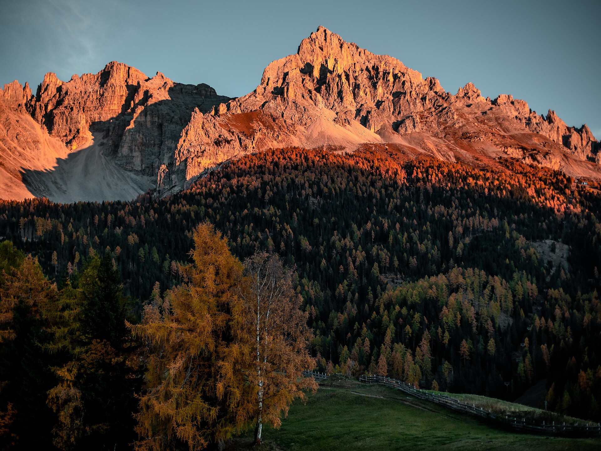 Waldbaden: Die Heilkraft des Waldes Deutschnofen 1 suedtirol.info