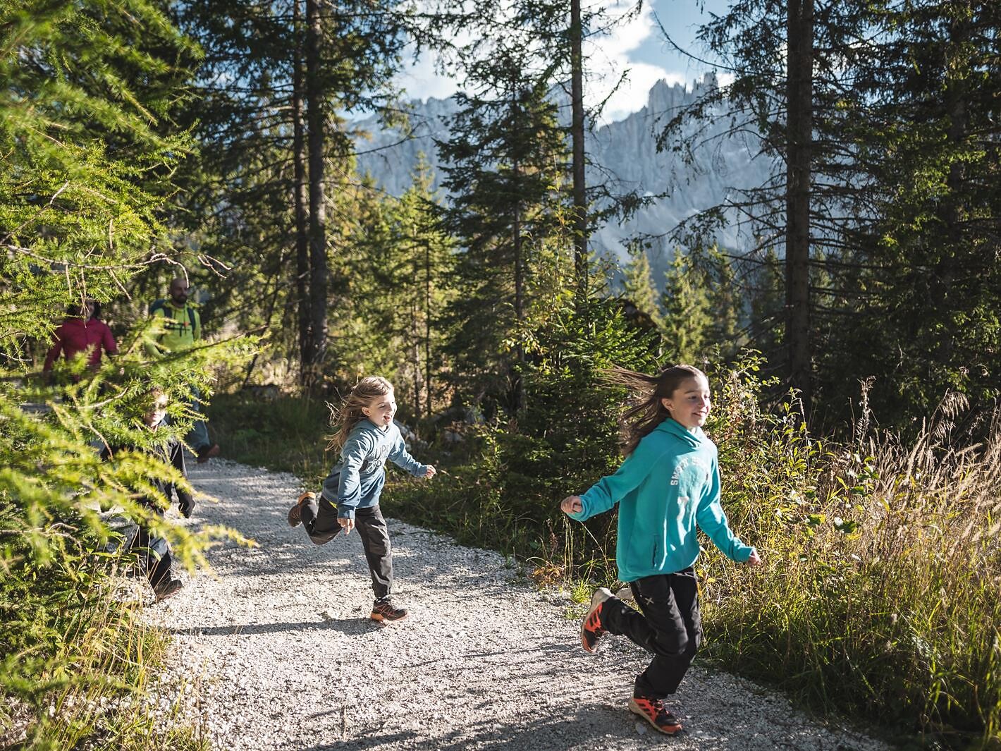 Forest hike to places of power & natural monuments Welschnofen/Nova Levante 3 suedtirol.info