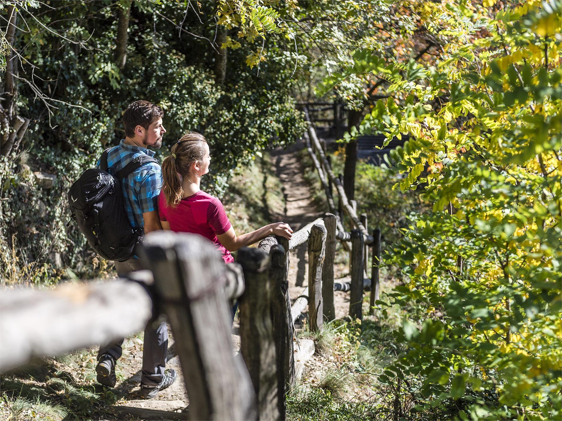 Geführte Gästewanderung: Von Pinzagen nach Feldthurns Tirol 1 suedtirol.info