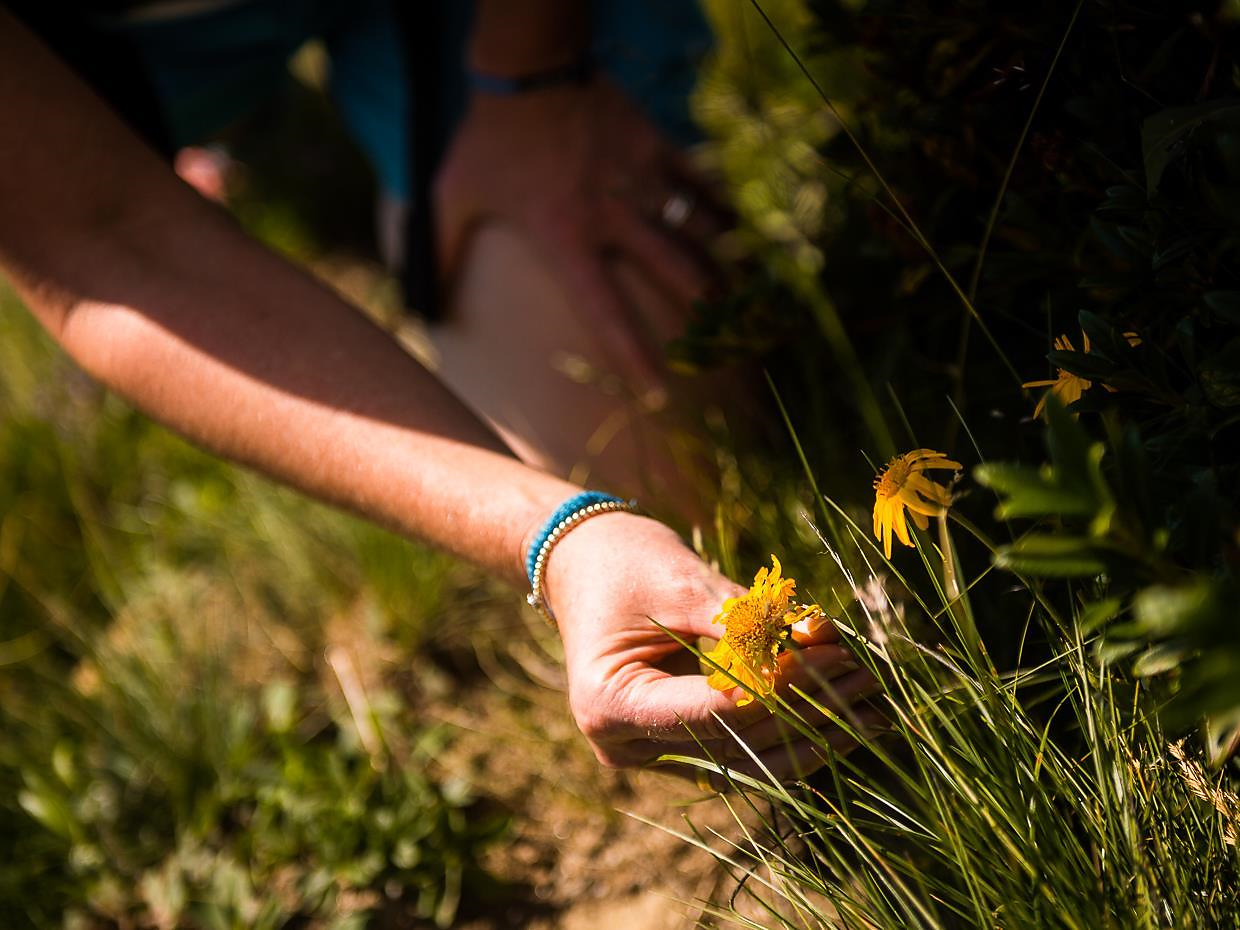 Hiking tour at Schenna: Spronser Seen lakes Schenna/Scena 2 suedtirol.info