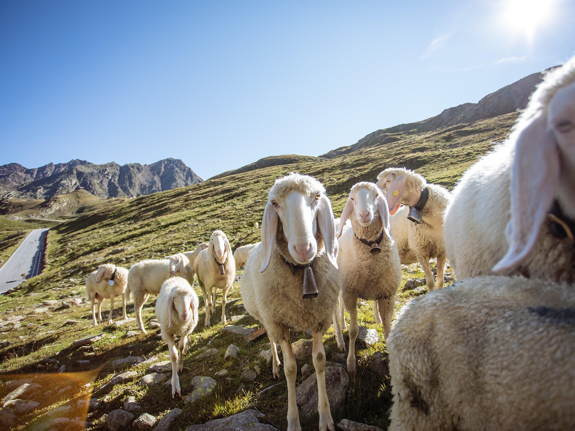 Wanderung am Passeierer Höhenweg Schenna 3 suedtirol.info