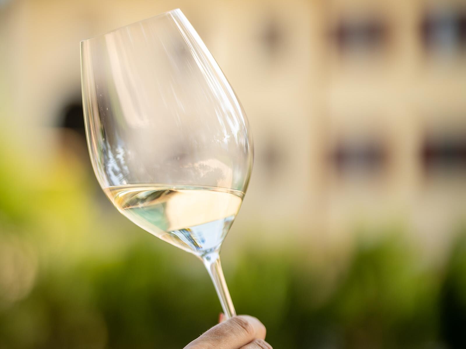 WineSounds on the Alto Adige Wine Road - Piano Evening “Appassionata” - Alto Adige Wine Road - #1 - suedtirol.info