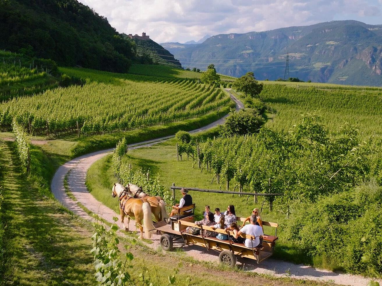 Giro in carozza - Strada del Vino - #1 - suedtirol.info