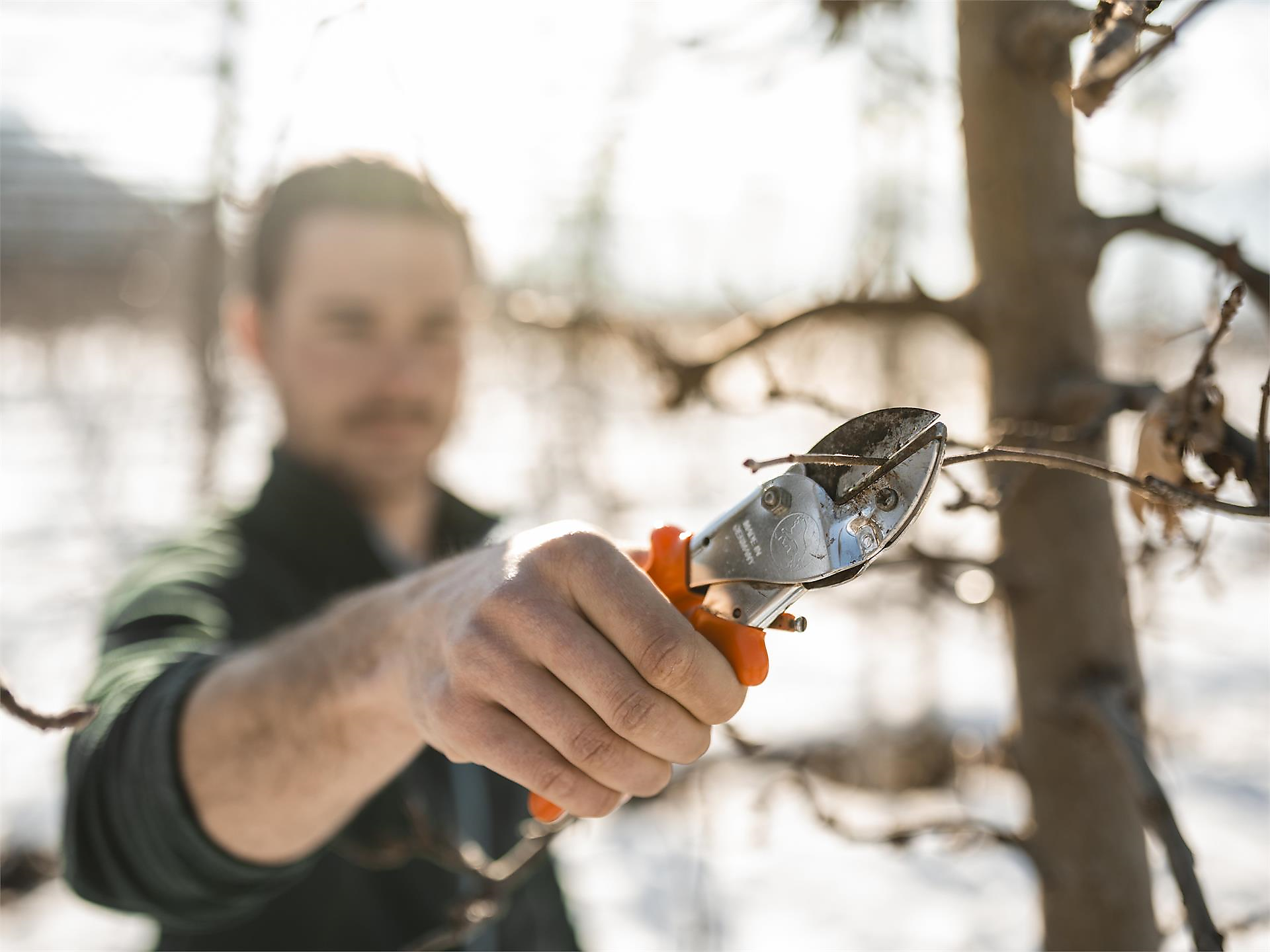 Weihnachtszauber auf dem Apfelhof - Meran und Umgebung - #1 - suedtirol.info