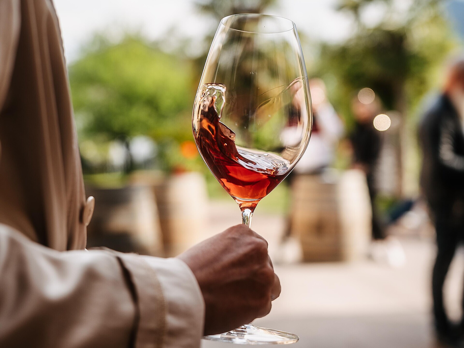 Wein- und Destillerieverkostung Weingut Luggin Steffelehof 2025 Dienstag Kaltern an der Weinstraße 1 suedtirol.info