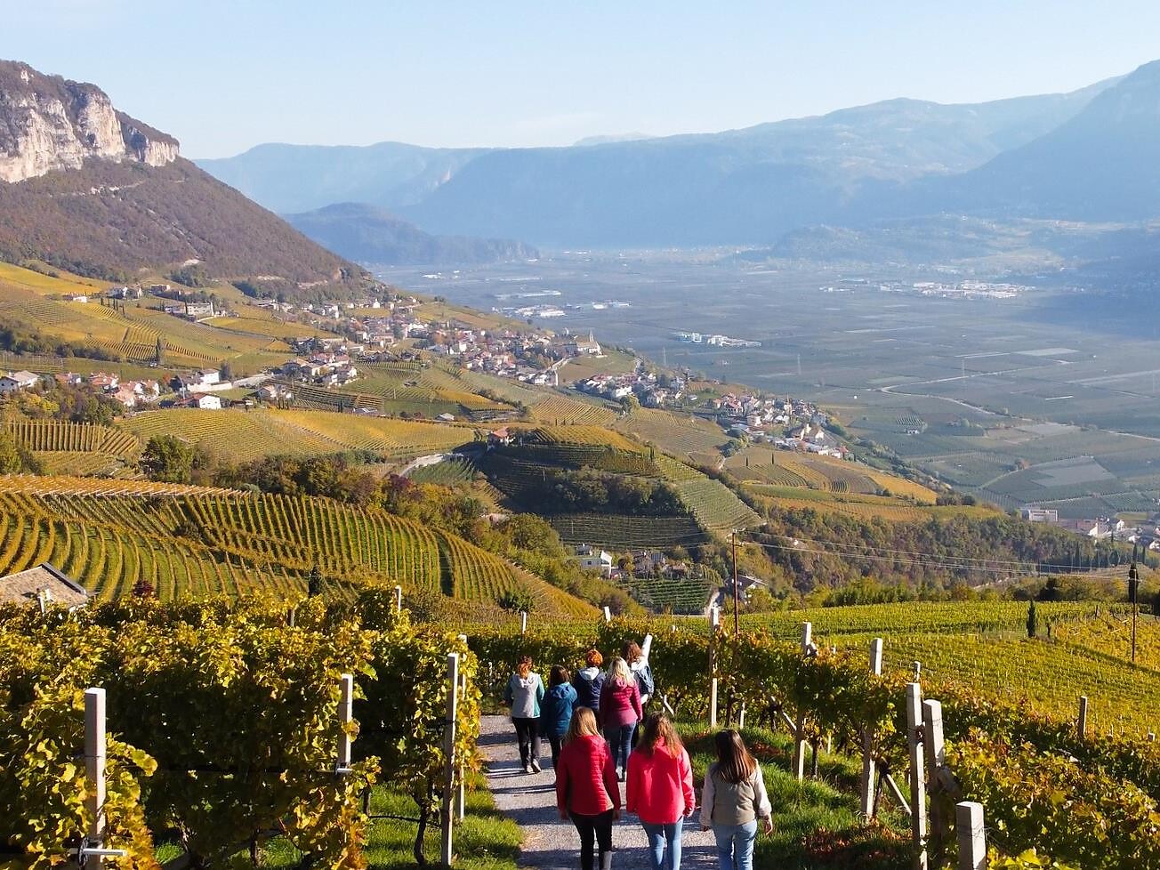 Esplorazione Vitivinicola Cortaccia sulla Strada del Vino 2 suedtirol.info