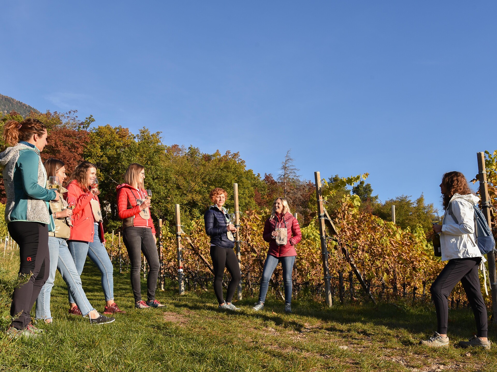 Esplorazione Vitivinicola Cortaccia sulla Strada del Vino 1 suedtirol.info