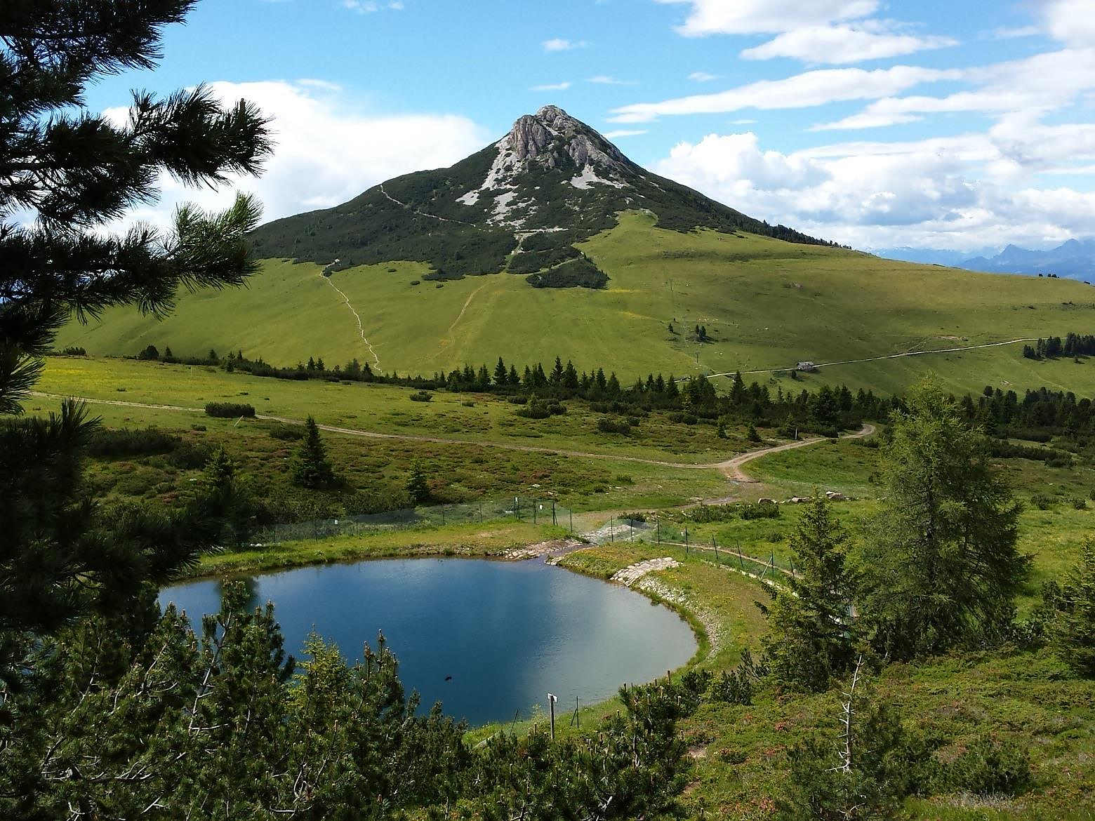 Wanderung von Radein um Weißhorn und Jochgrimm Schenna 3 suedtirol.info