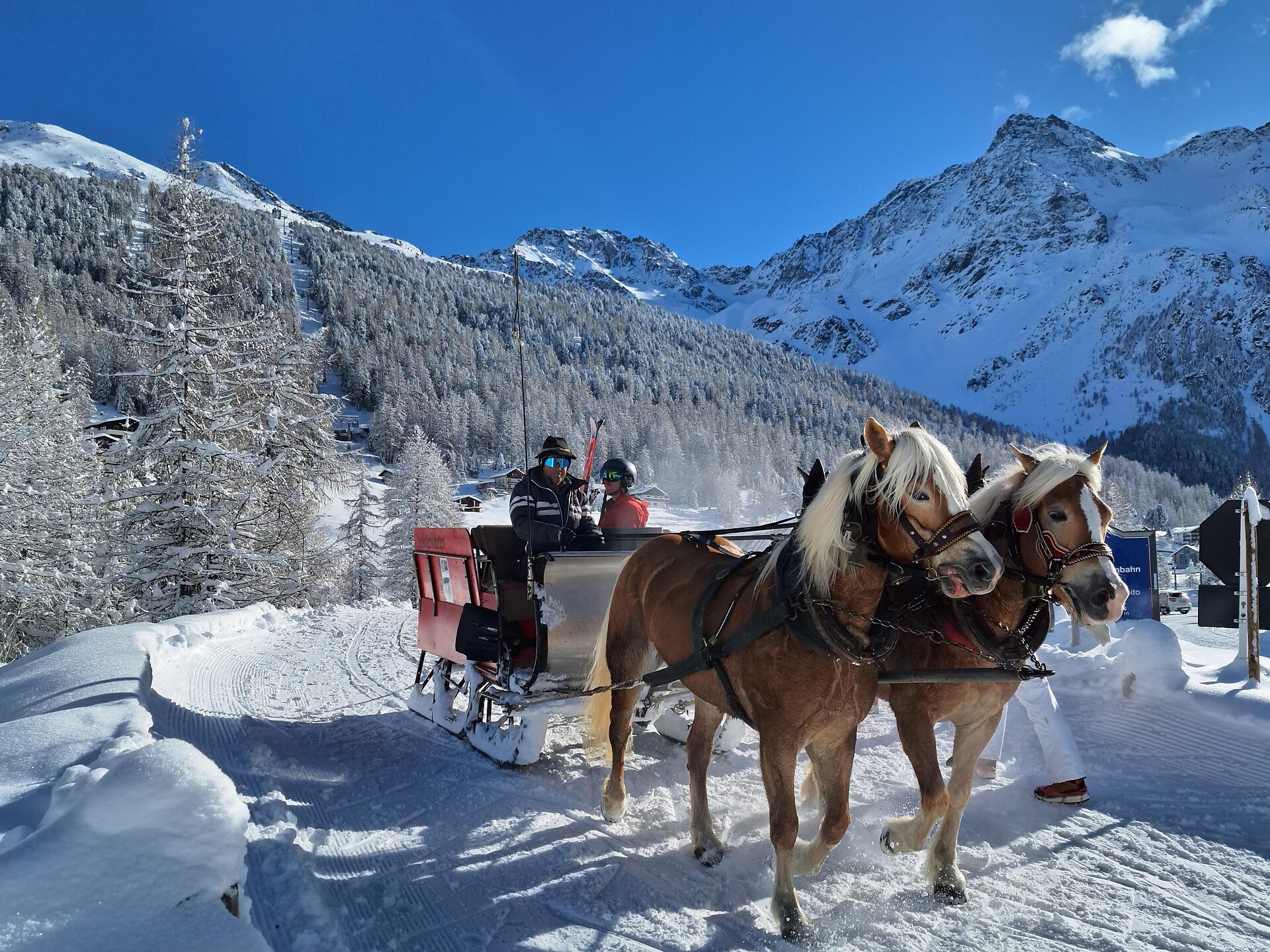 Wintererlebnis Pferdeschlittenfahrt in Sulden - Vinschgau - #1 - suedtirol.info