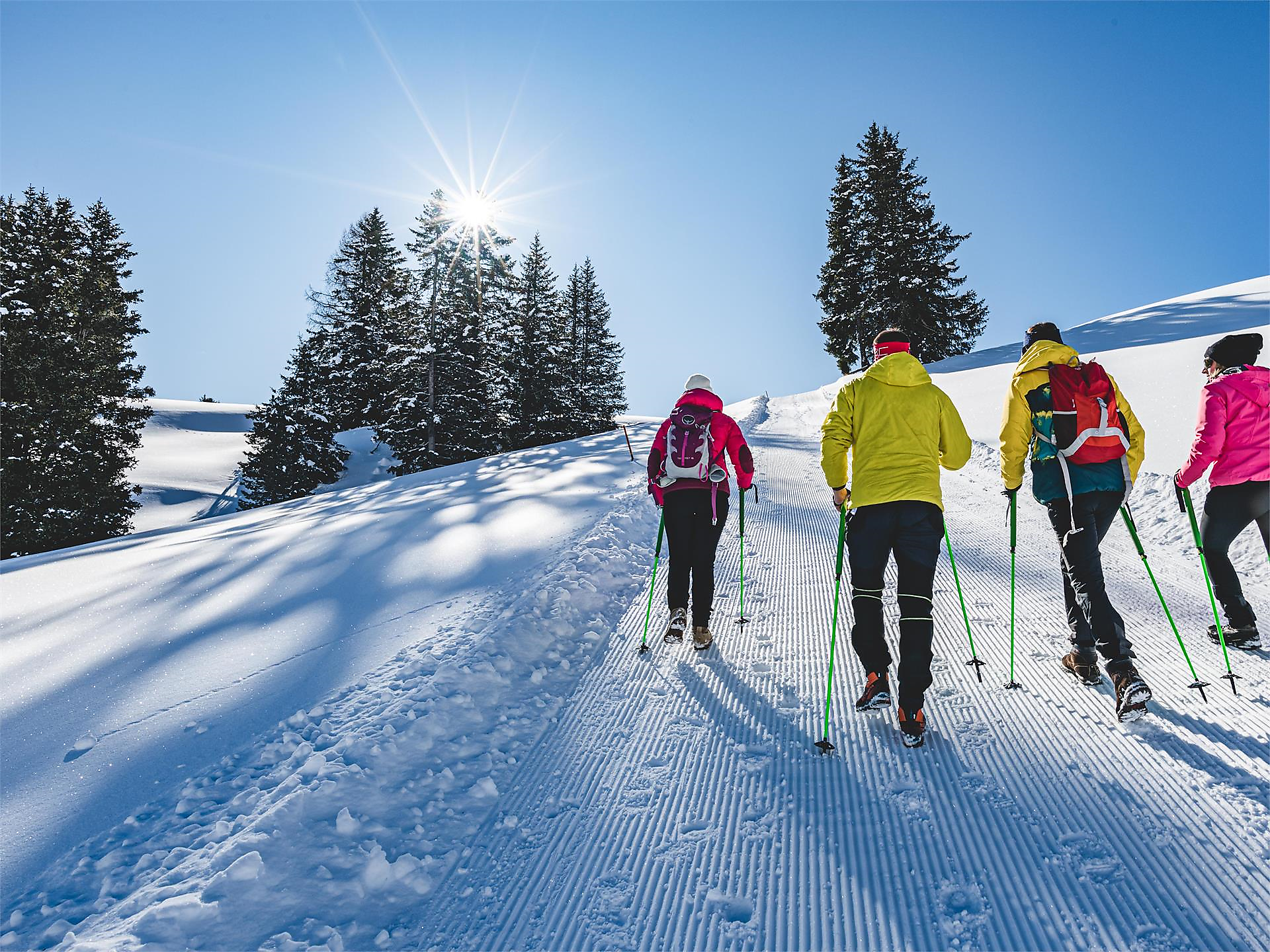 Winterwandern und Rodelspaß unter dem Langkofel - Dolomitenregion Gröden - #3 - suedtirol.info