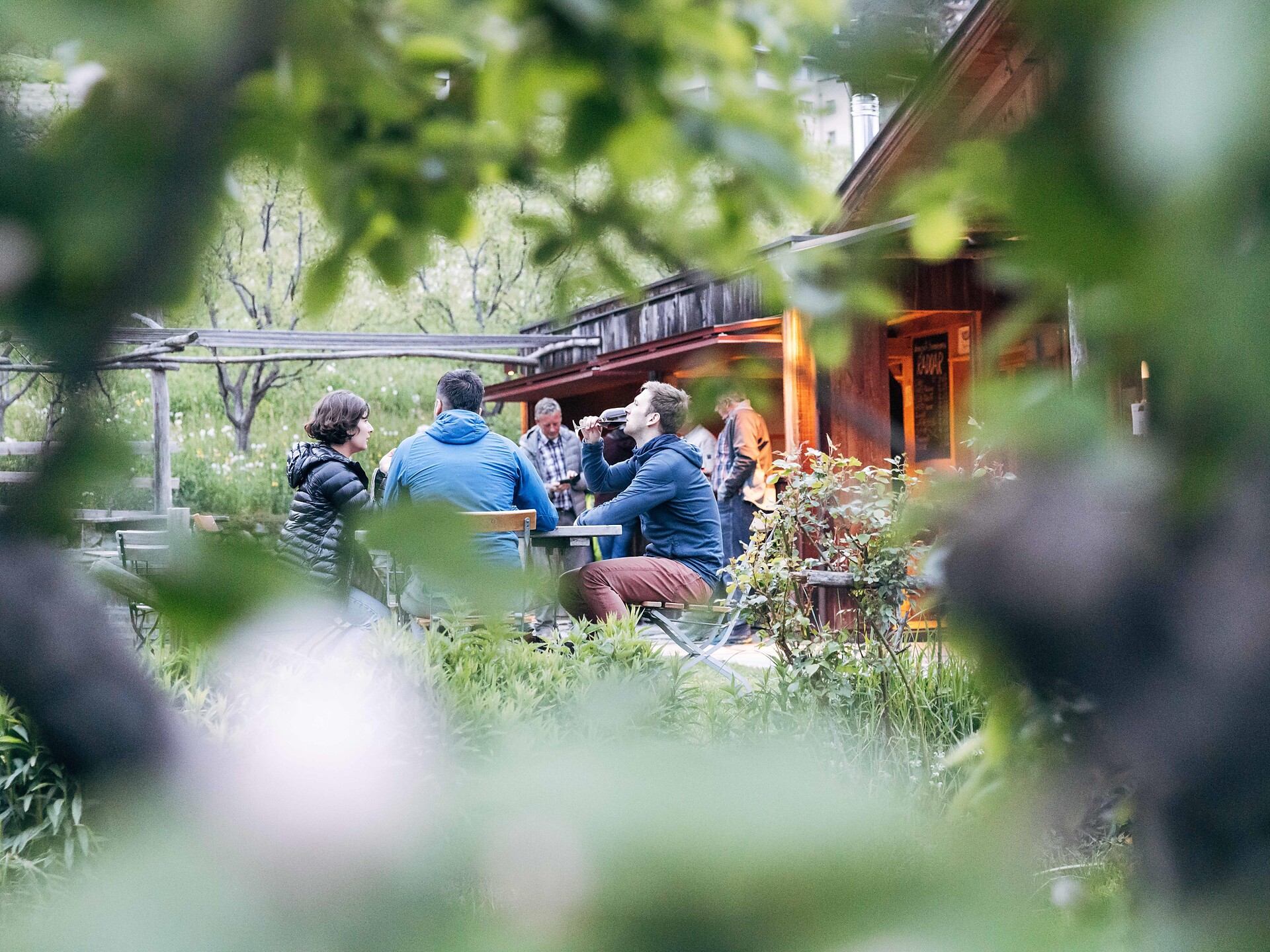WINZerleben - Weingut Radoar - Brixen und Umgebung - #1 - suedtirol.info
