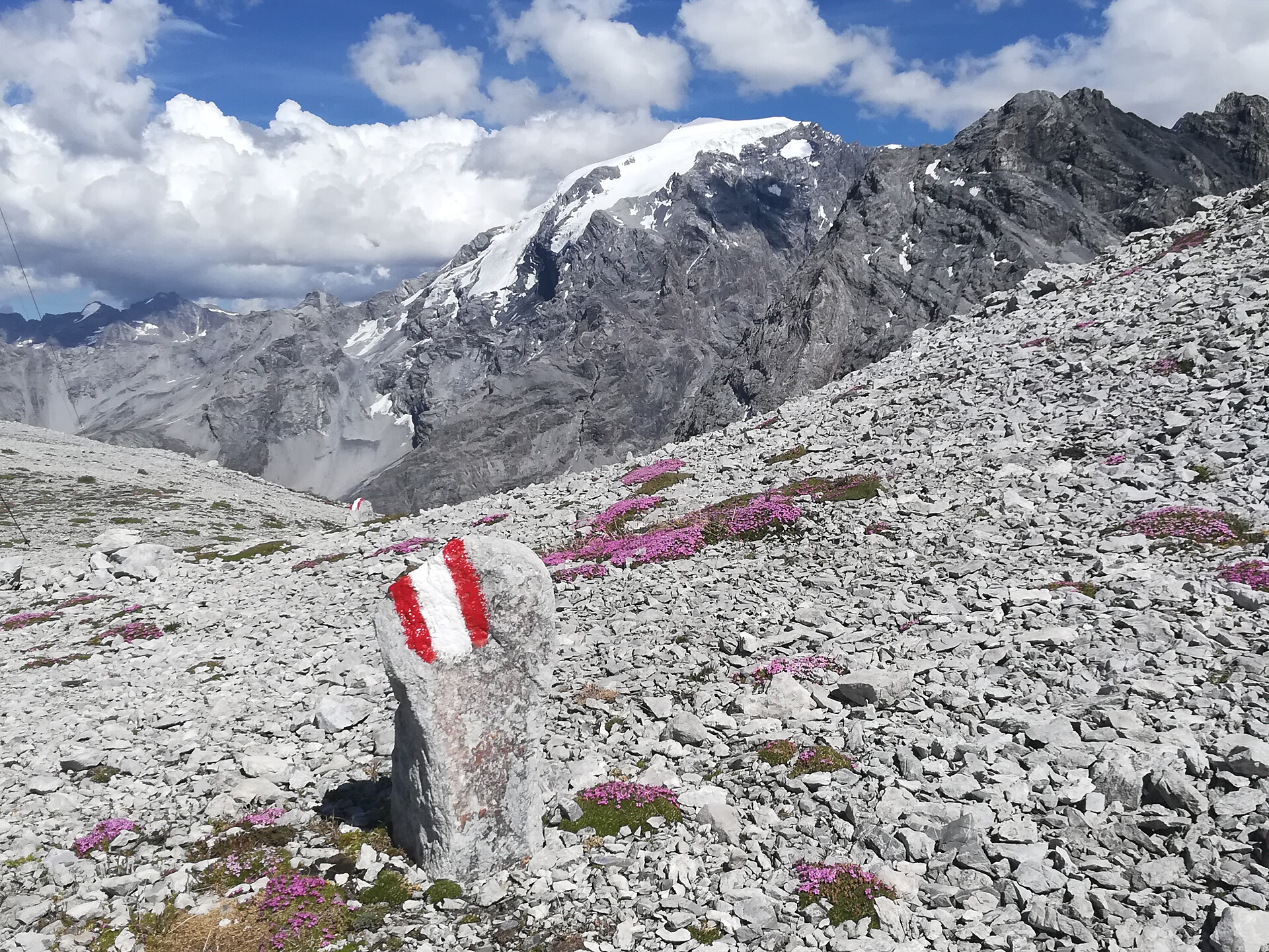 Escursione "200 ANNI STRADA DELLO STELVIO" Stelvio 2 suedtirol.info