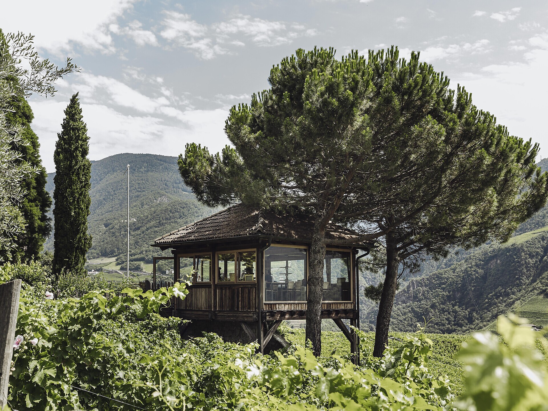 Wine tasting at the SKYWINE PAVILLON - Bolzano/Bozen and environs - #1 - suedtirol.info