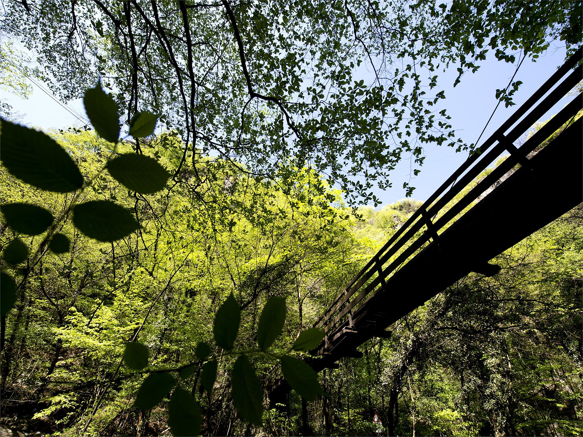 Wald- und Wiesen-Wellness - Lana blüht 2025 Tisens 2 suedtirol.info