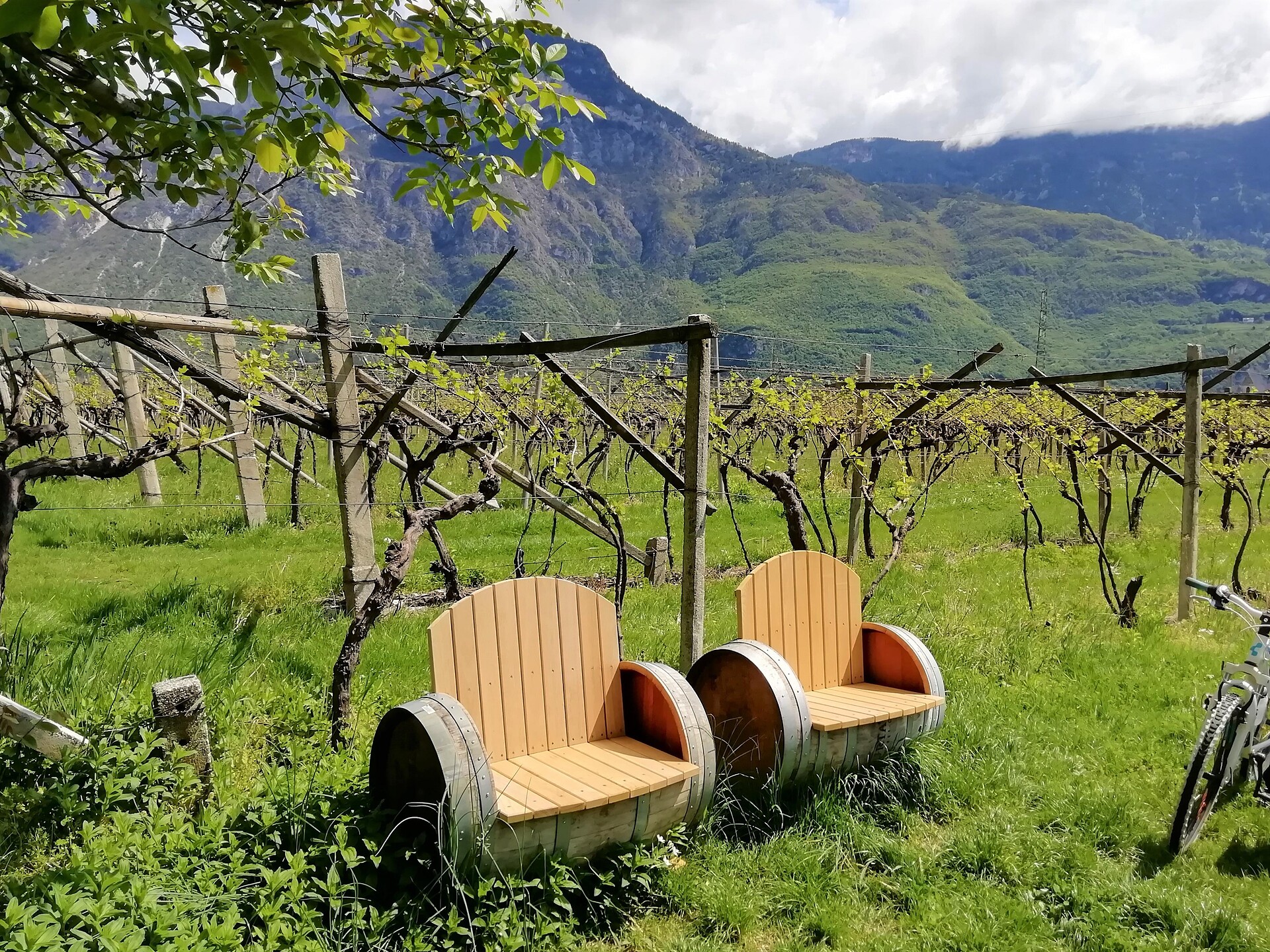 Escursione del vino da Magré passando per i biotopi fino a Cortina Magrè sulla Strada del Vino 2 suedtirol.info