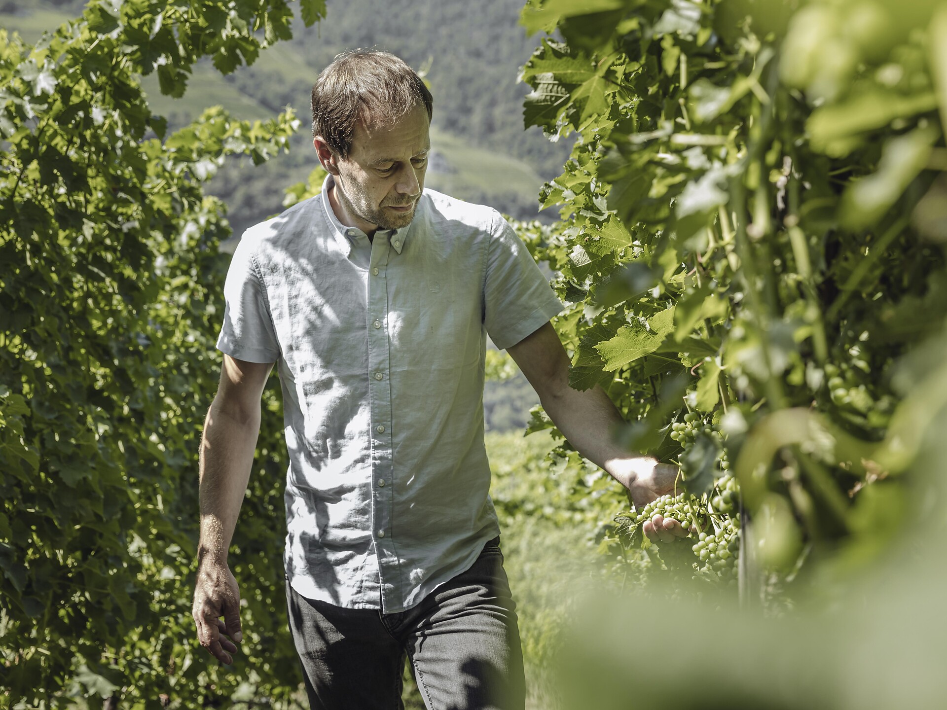 Visita guidata alla cantina con degustazione allo SKYWINE PAVILLON - Bolzano e dintorni - #3 - suedtirol.info