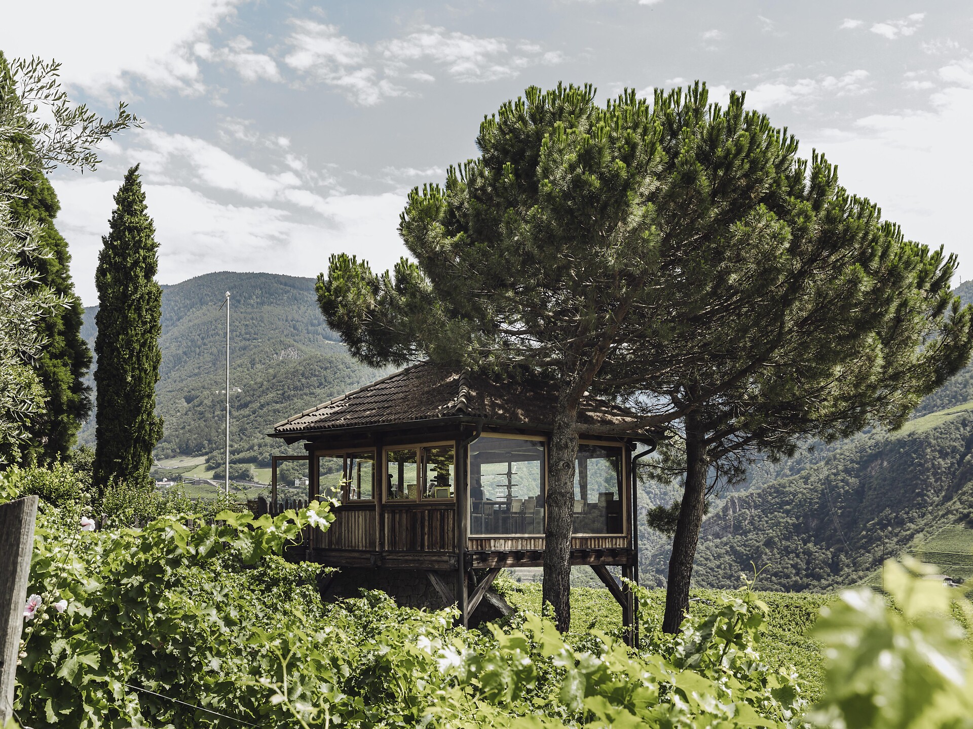 Visita guidata alla cantina con degustazione allo SKYWINE PAVILLON - Bolzano e dintorni - #2 - suedtirol.info