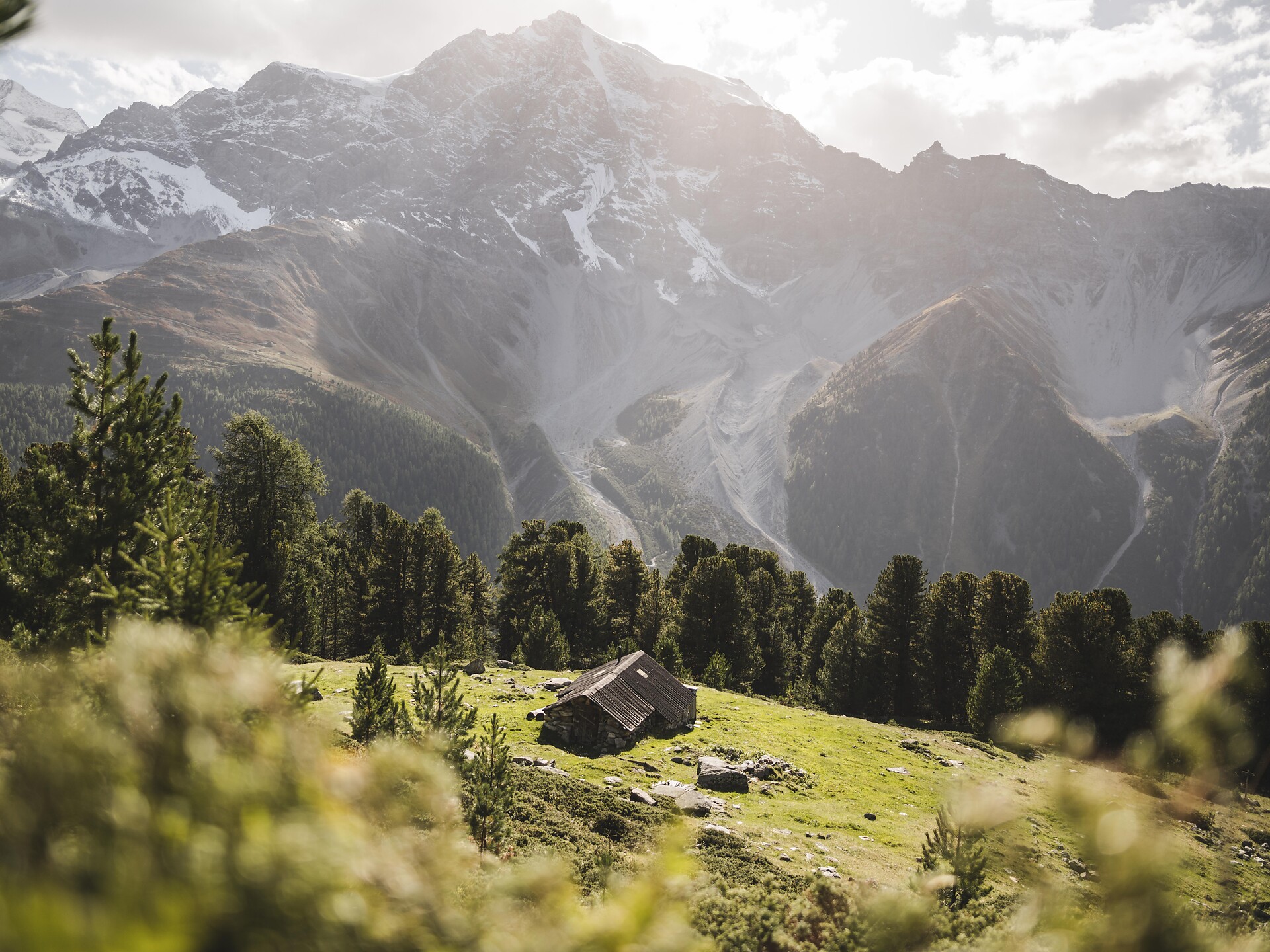 Hiking tour: The Ortler High Mountain Trail Schenna/Scena 2 suedtirol.info