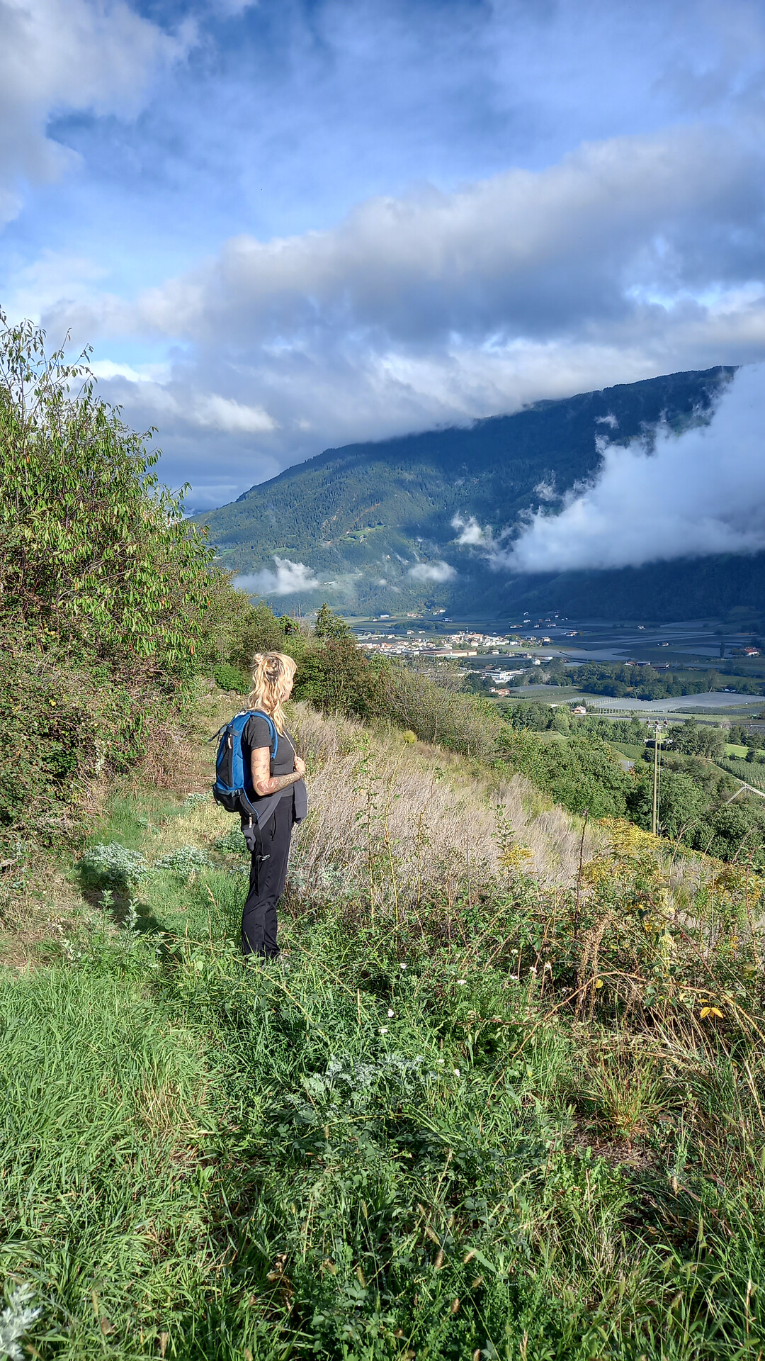 Wo Reben wachsen und Kräuter heilen - Meran und Umgebung - #1 - suedtirol.info