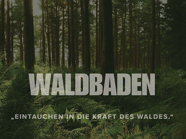 Waldbaden - "Eintauchen in die Kraft des Waldes" - Meran und Umgebung - #1 - suedtirol.info