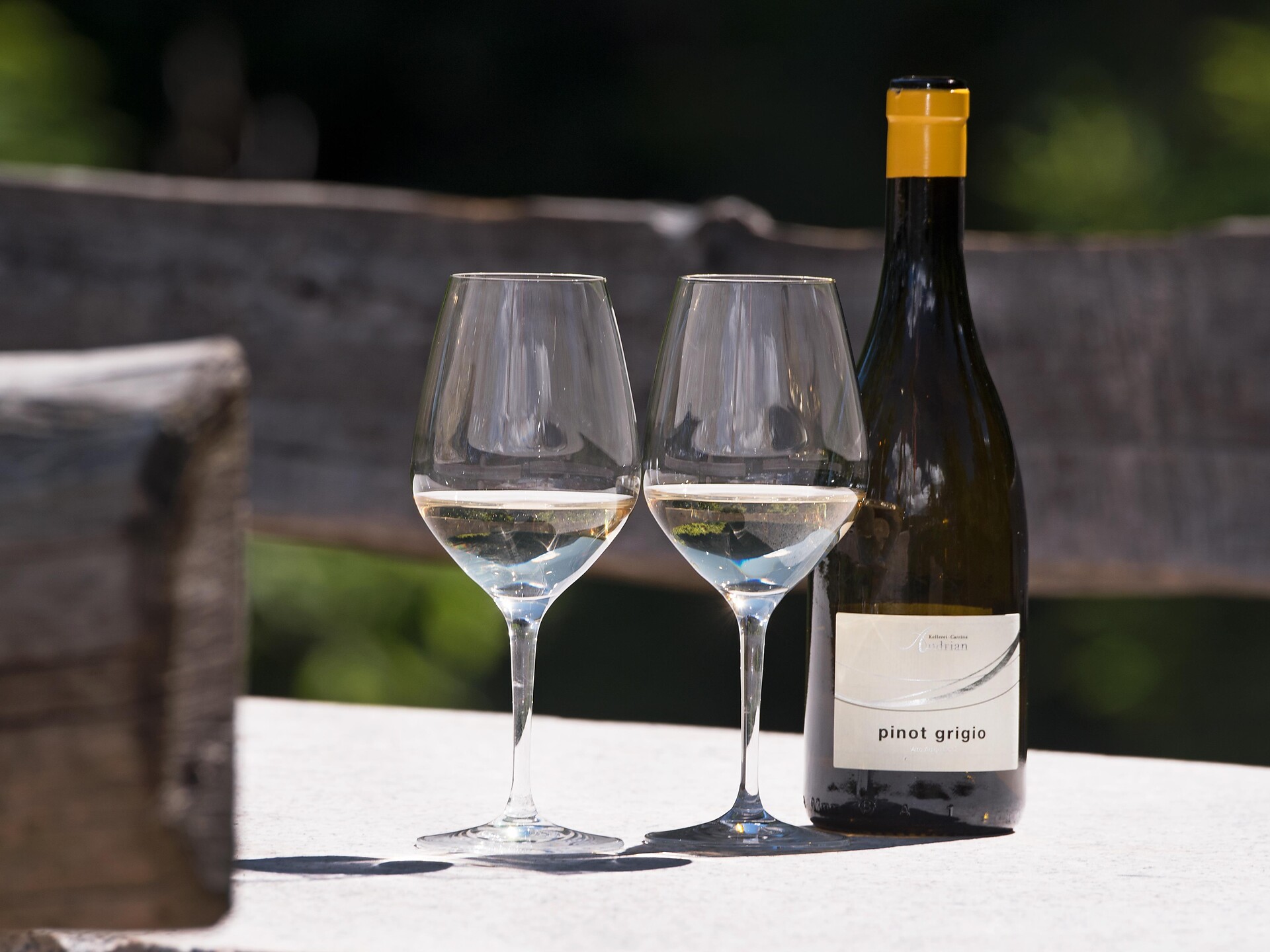 Weinverkostung der Weine der Kellerei Andrian und Besichtigung Kellerei Terlan Andrian 1 suedtirol.info