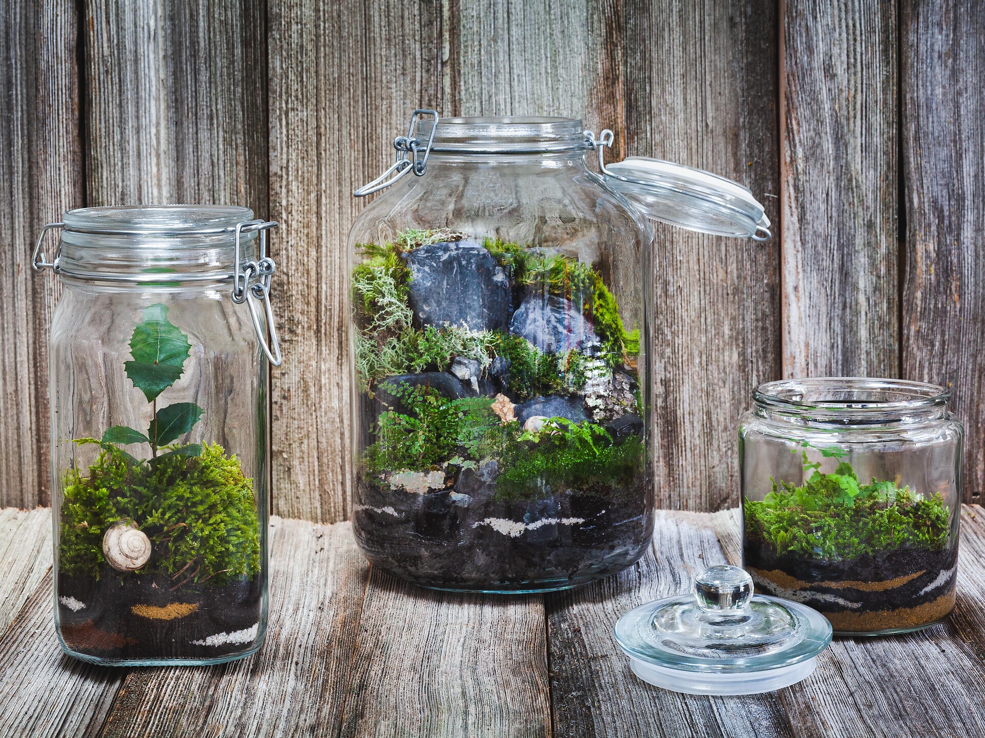 Workshop Mini-terrario - un giardino nel vaso - Merano e dintorni - #1 - suedtirol.info