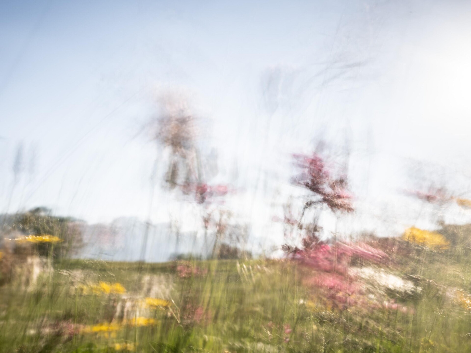 Mostra temporanea: Heinz Innerhofer - motus BERG - Regione dolomitica Plan de Corones - #3 - suedtirol.info