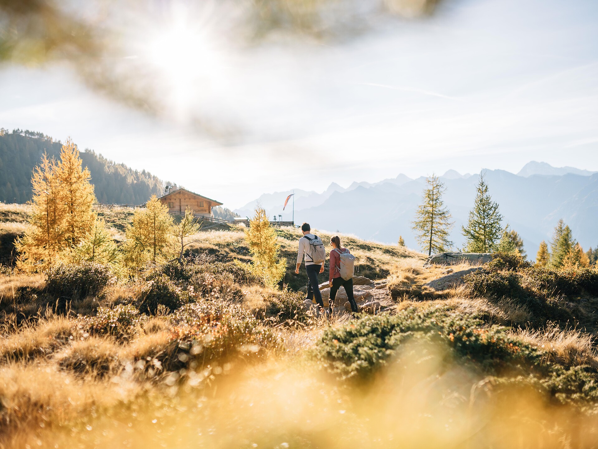 L'oro d'autunno sull'altopiano Hirzer (Psairer Herbst) - Merano e dintorni - #1 - suedtirol.info