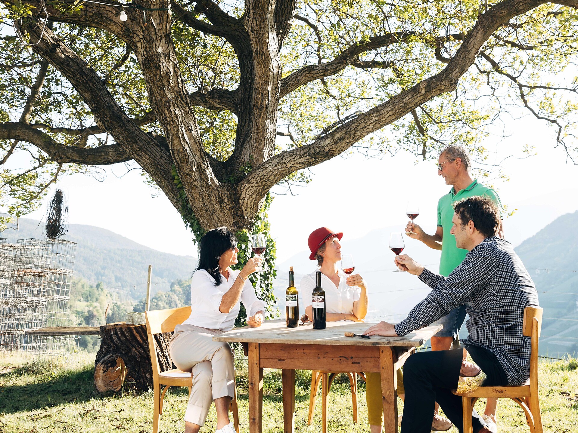 Scoprire VITICOLTURA  - Tenuta bio Zöhlhof - Bressanone e dintorni - #1 - suedtirol.info