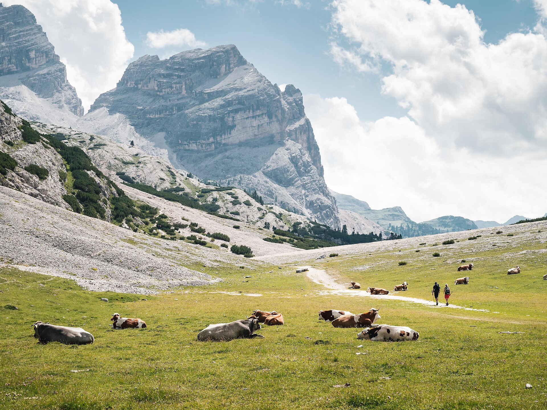 Traversata dei leggendari altopiani di Fanes tra rocce maestose e prati fioriti Badia 1 suedtirol.info