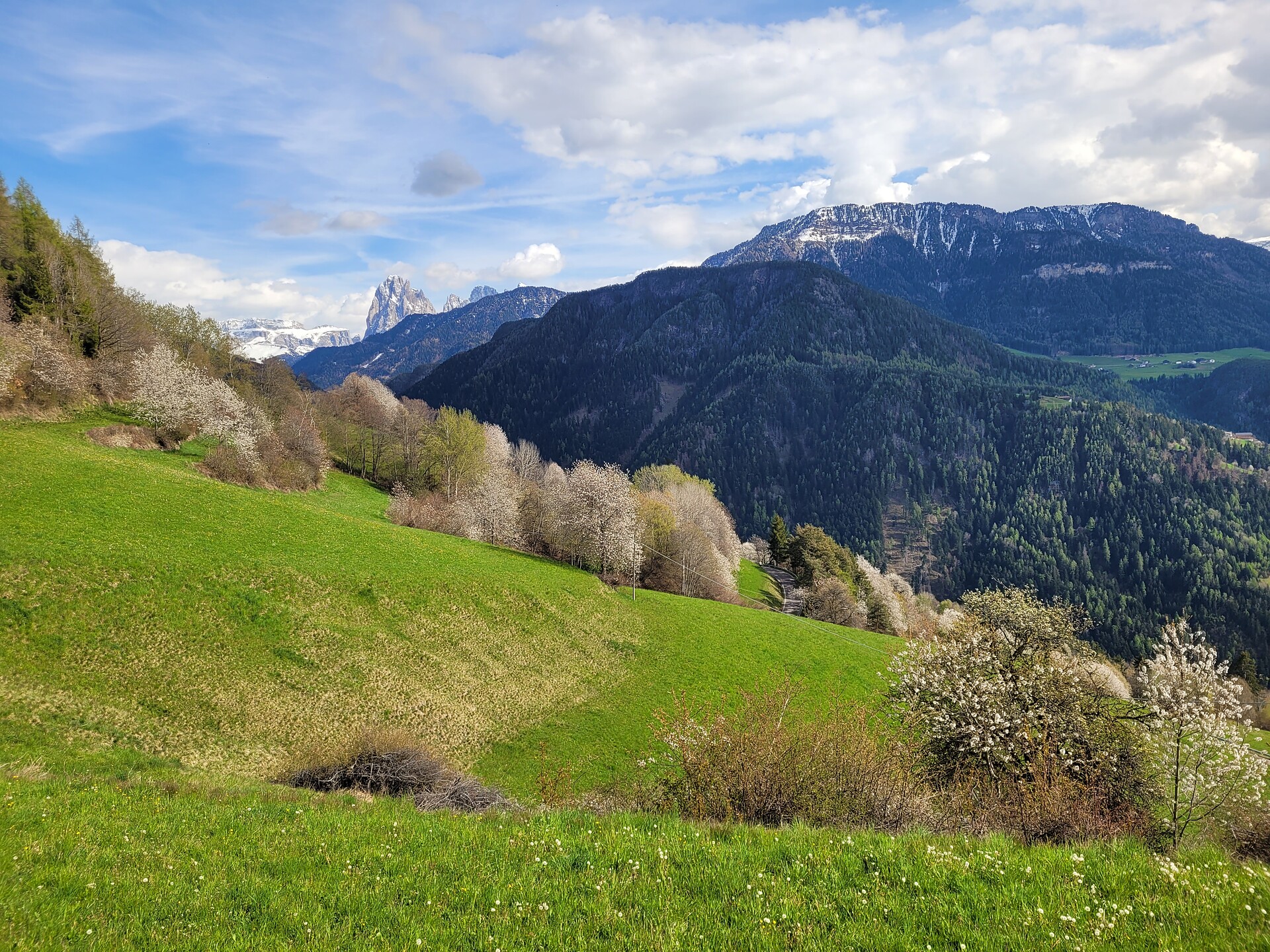 Ritorno alle Origini: escursione guidata con degustazione Laion 1 suedtirol.info