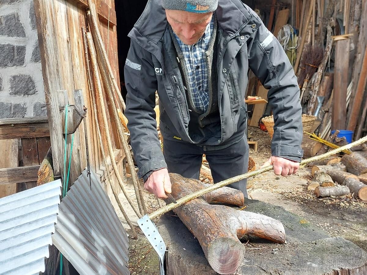 Ritorno alle Origini: escursione guidata con degustazione Laion 3 suedtirol.info