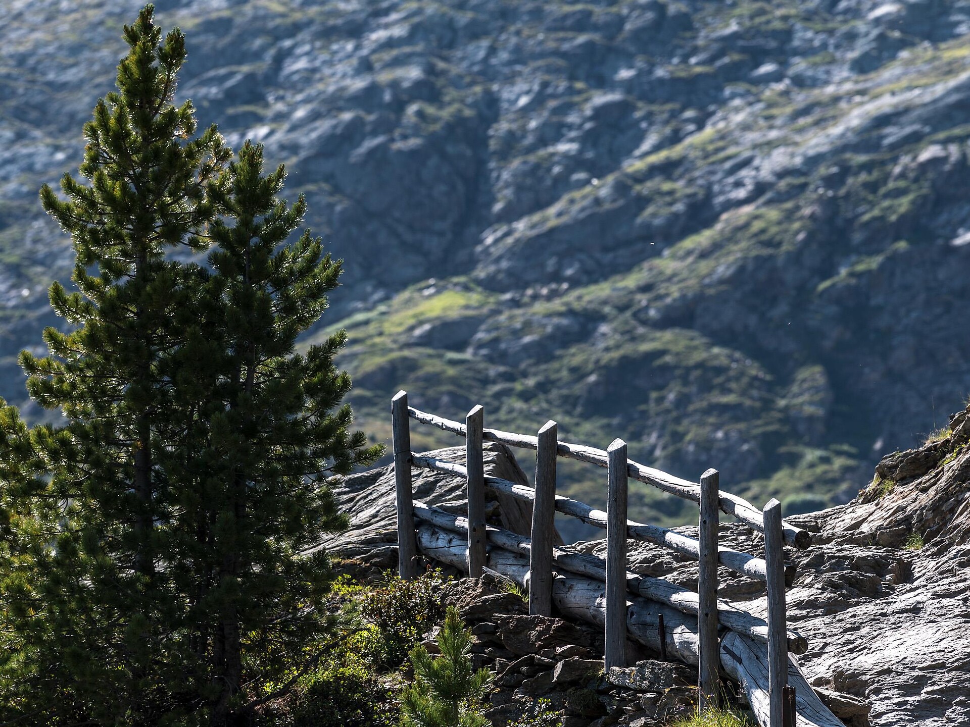 Zirbenwanderung Martell 1 suedtirol.info