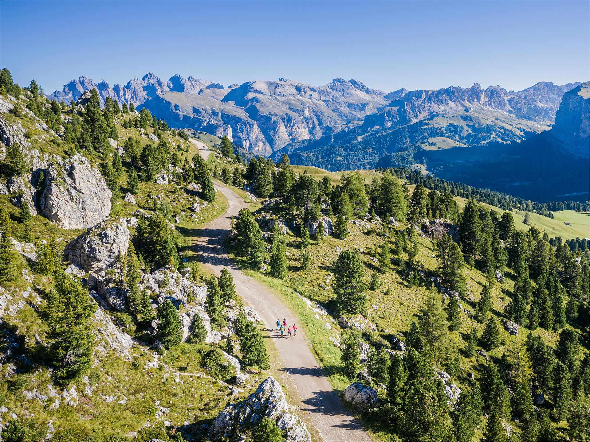 Vette di piaceri culinari - Dalla Città dei Sassi alla grigliata Santa Cristina Val Gardena 2 suedtirol.info