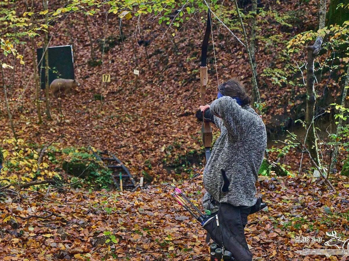 Tiro con l’arco nella natura – un’avventura - Vipiteno e dintorni - #1 - suedtirol.info