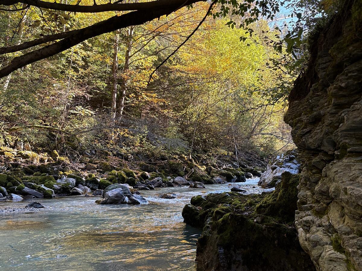 Tiro con l’arco nella natura – un’avventura - Vipiteno e dintorni - #3 - suedtirol.info