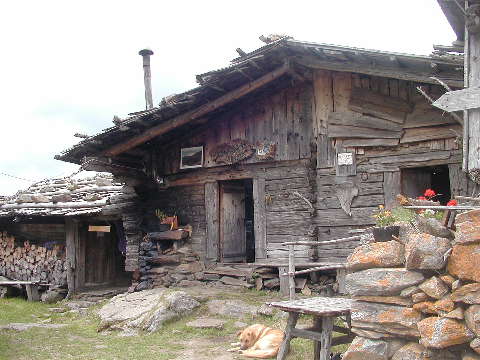 Zur ältesten Hochalm im Tiroler Raum – Moar Alm (2.095 m.ü.d.M.) Schnals 2 suedtirol.info