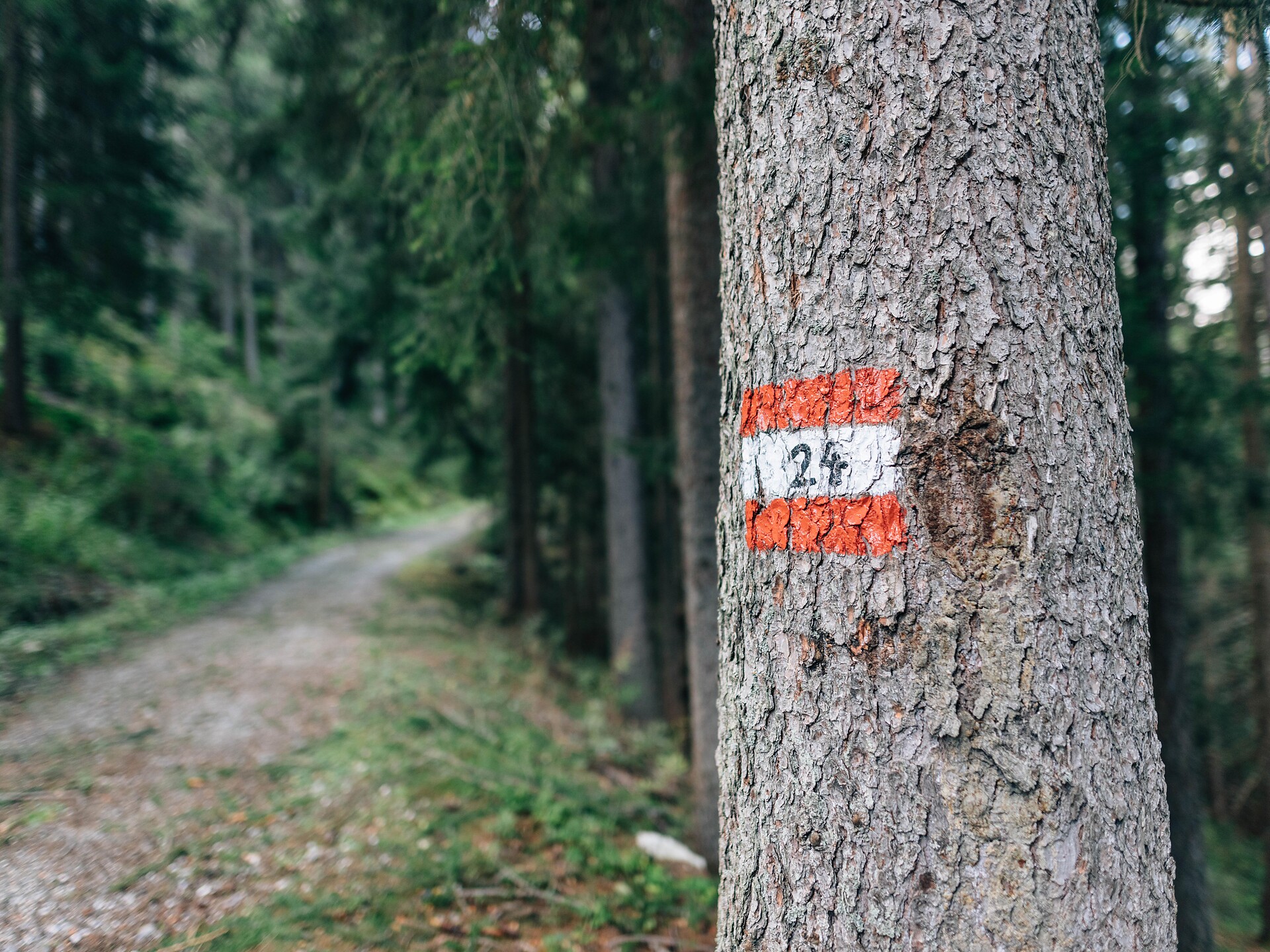 Between High Trails and Waterways Riffian/Rifiano 1 suedtirol.info