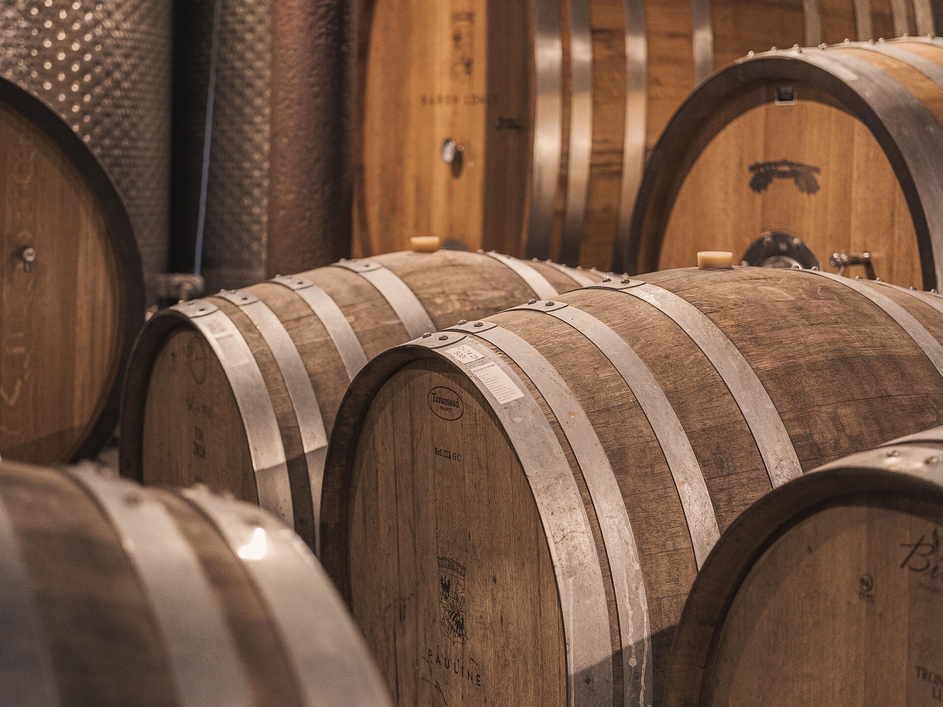Baron Longo – Experience Wine, History and Terroir with All Senses - Alto Adige Wine Road - #2 - suedtirol.info
