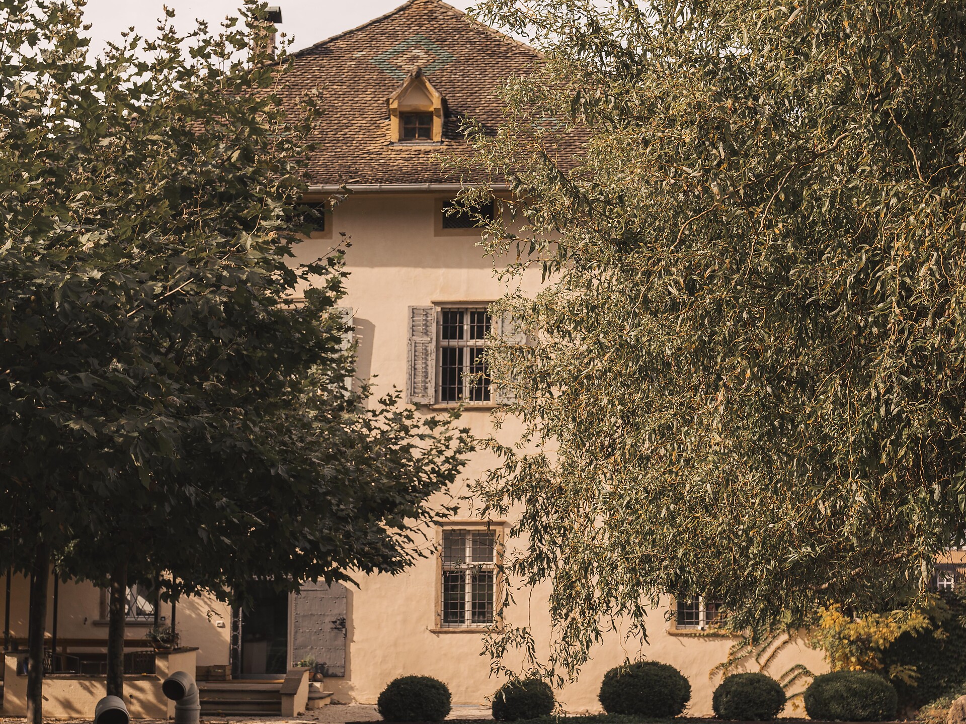 Baron Longo – Experience Wine, History and Terroir with All Senses - Alto Adige Wine Road - #3 - suedtirol.info
