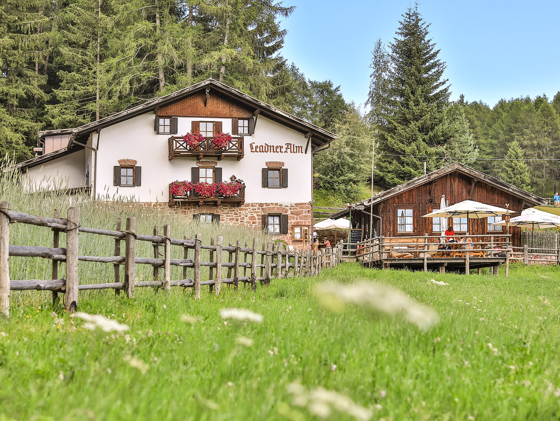 Malga Leadner Alm a Verano