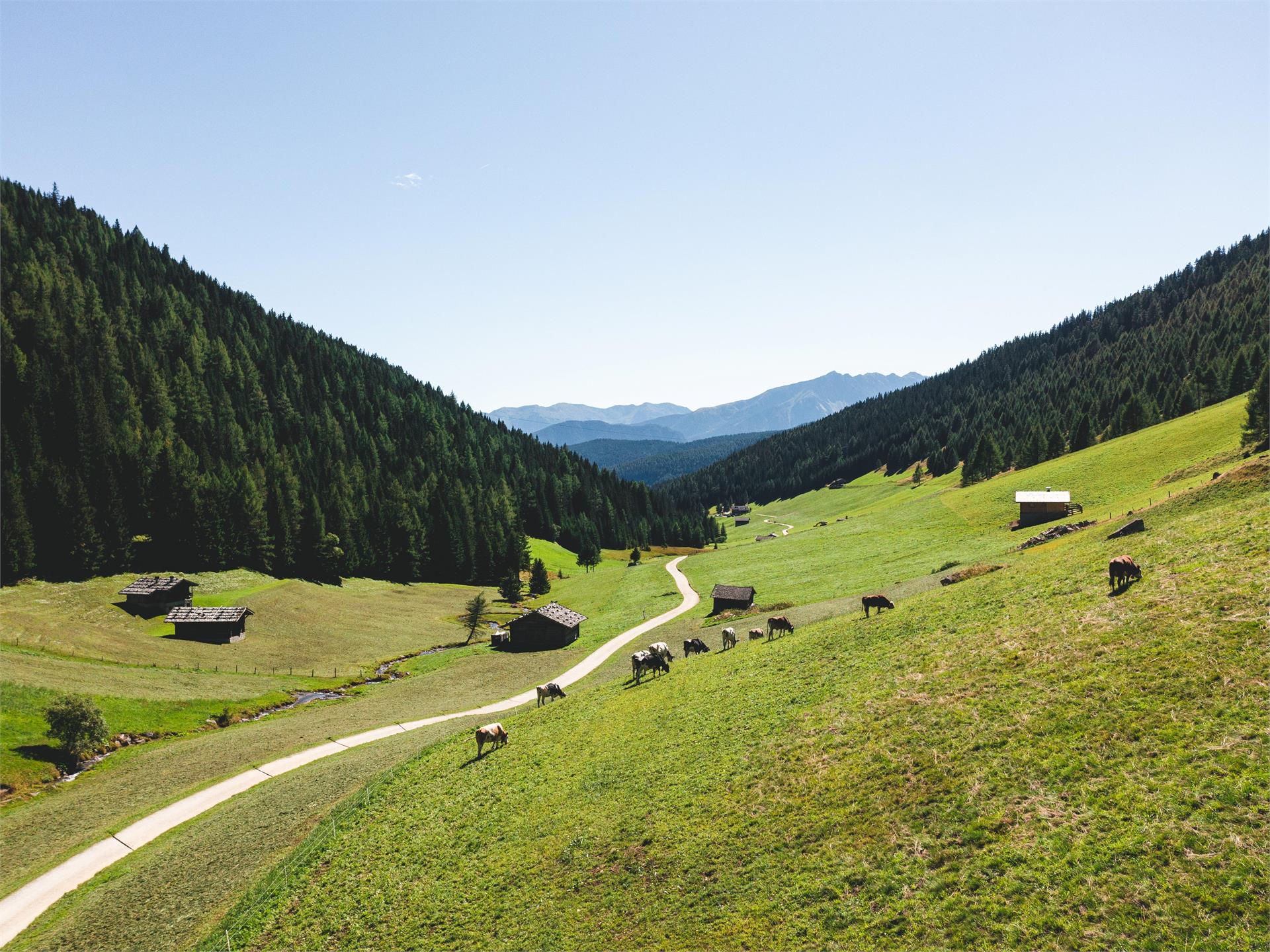 Das Altfasstal: Wandererlebnis für die ganze Familie Mühlbach 1 suedtirol.info