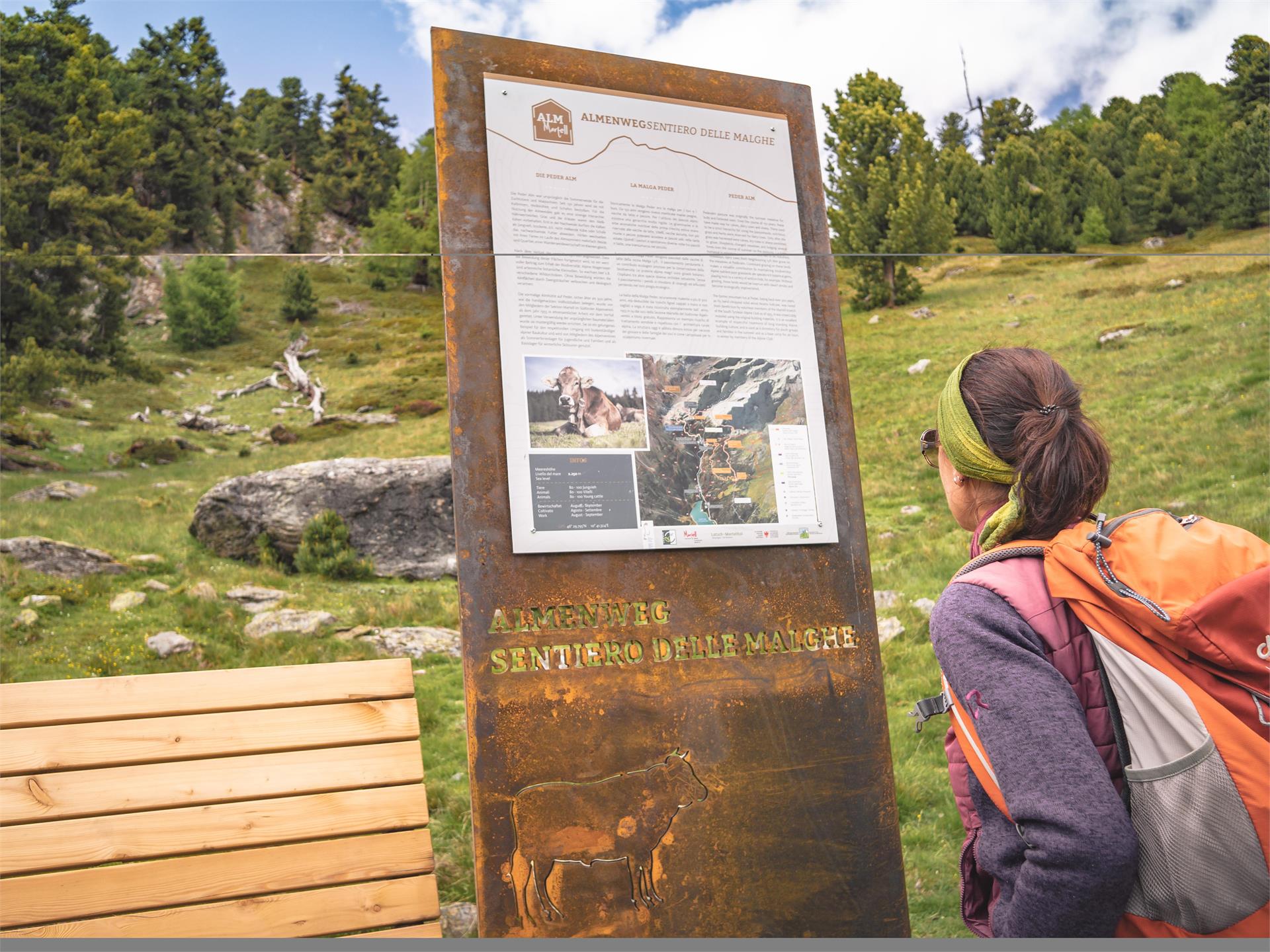 Sentiero delle Malghe Martello Martello 1 suedtirol.info