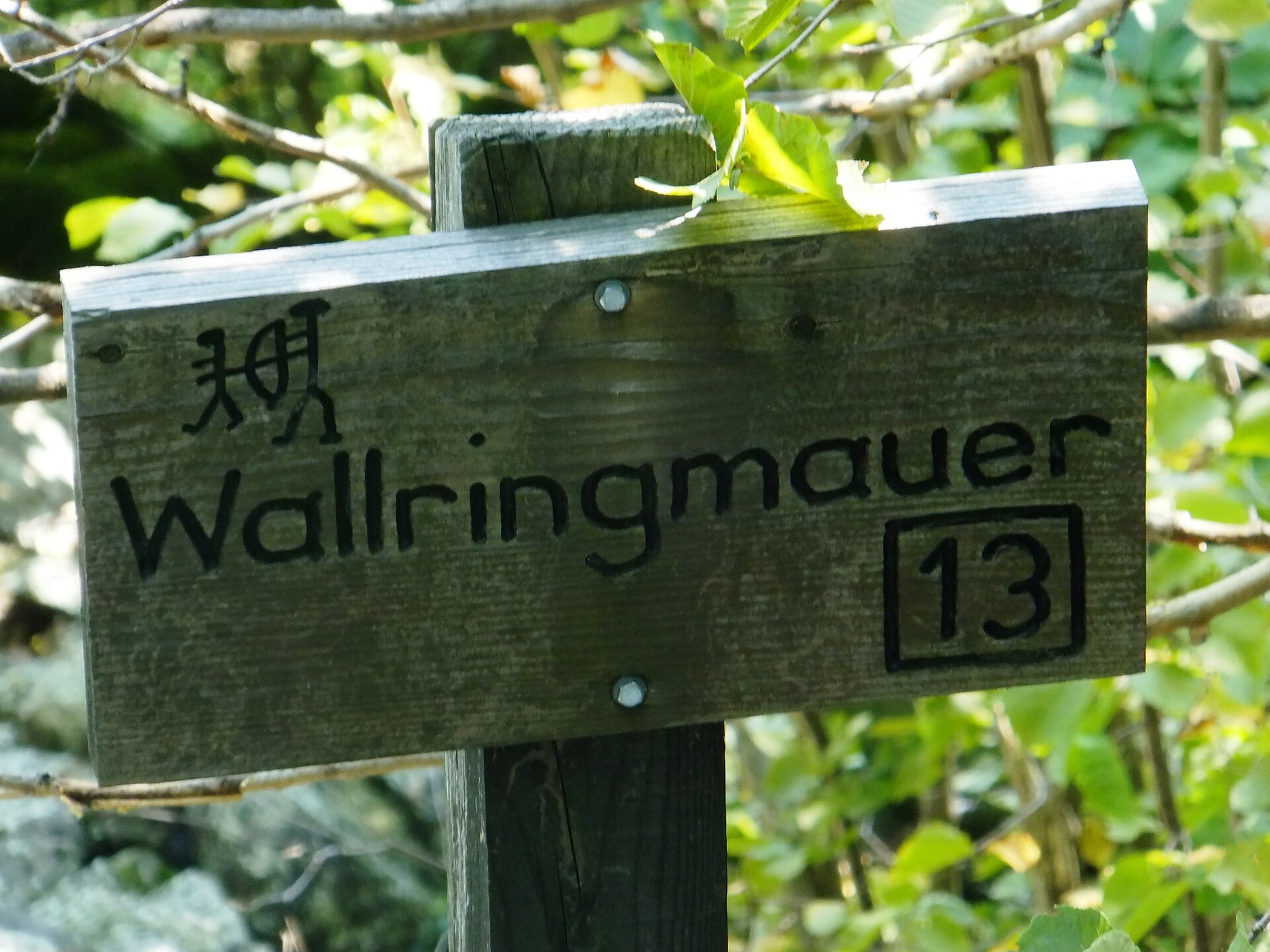 Panoramic view Golderskofel - Meran/Merano and environs - #6 - suedtirol.info